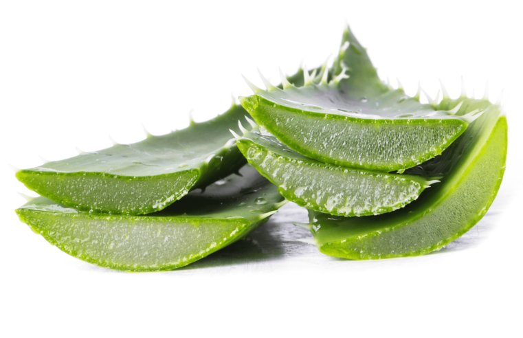 Aloe Vera Cilde Faydaları