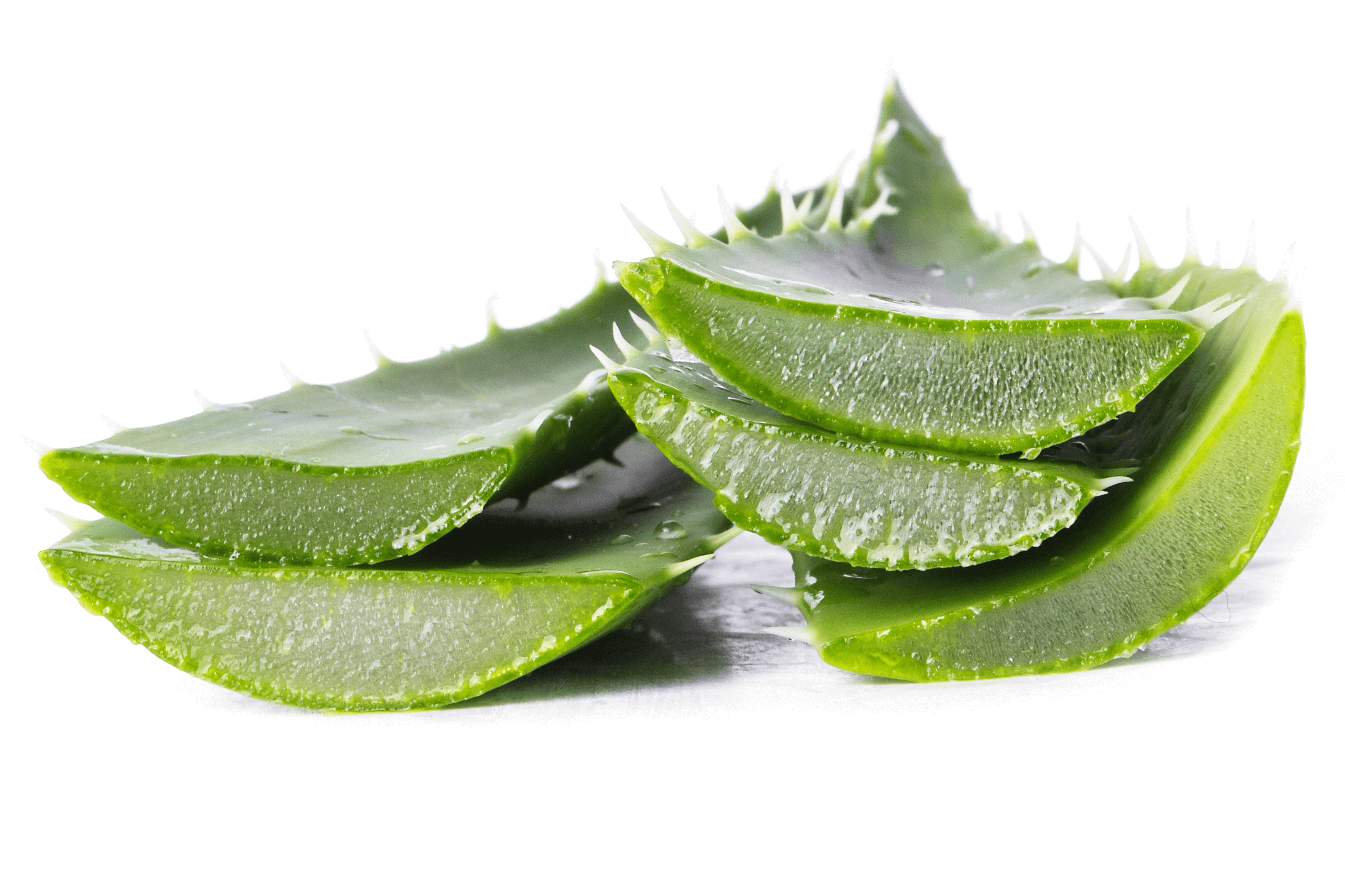 Aloe Vera Cilde Faydaları